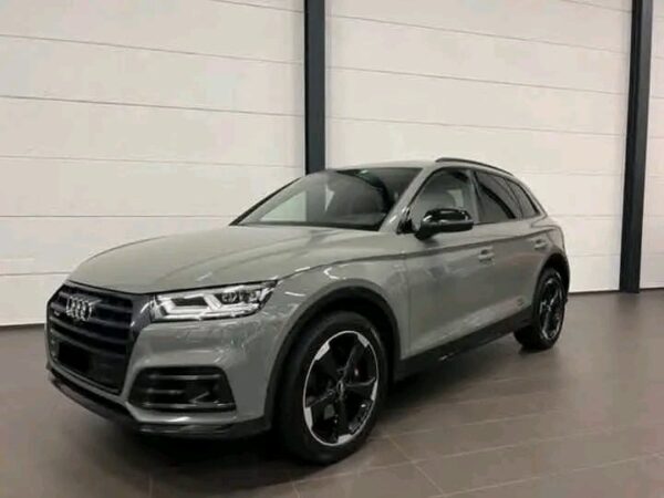 Audi SQ5 - Image 2