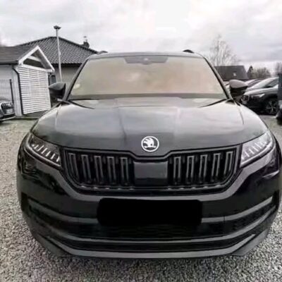 Skoda Kodiaq 2.0 190HP TDI 4x4 DSG